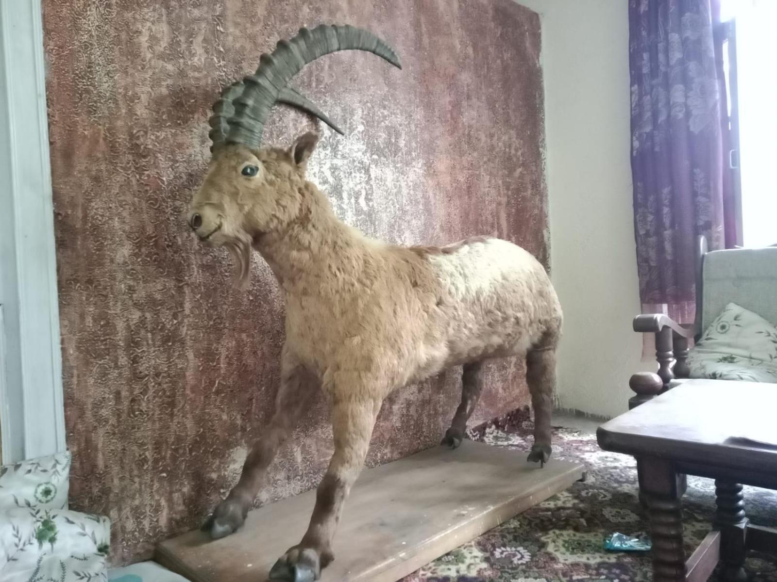 Golden Ibex Resort Skardu Eksteriør billede