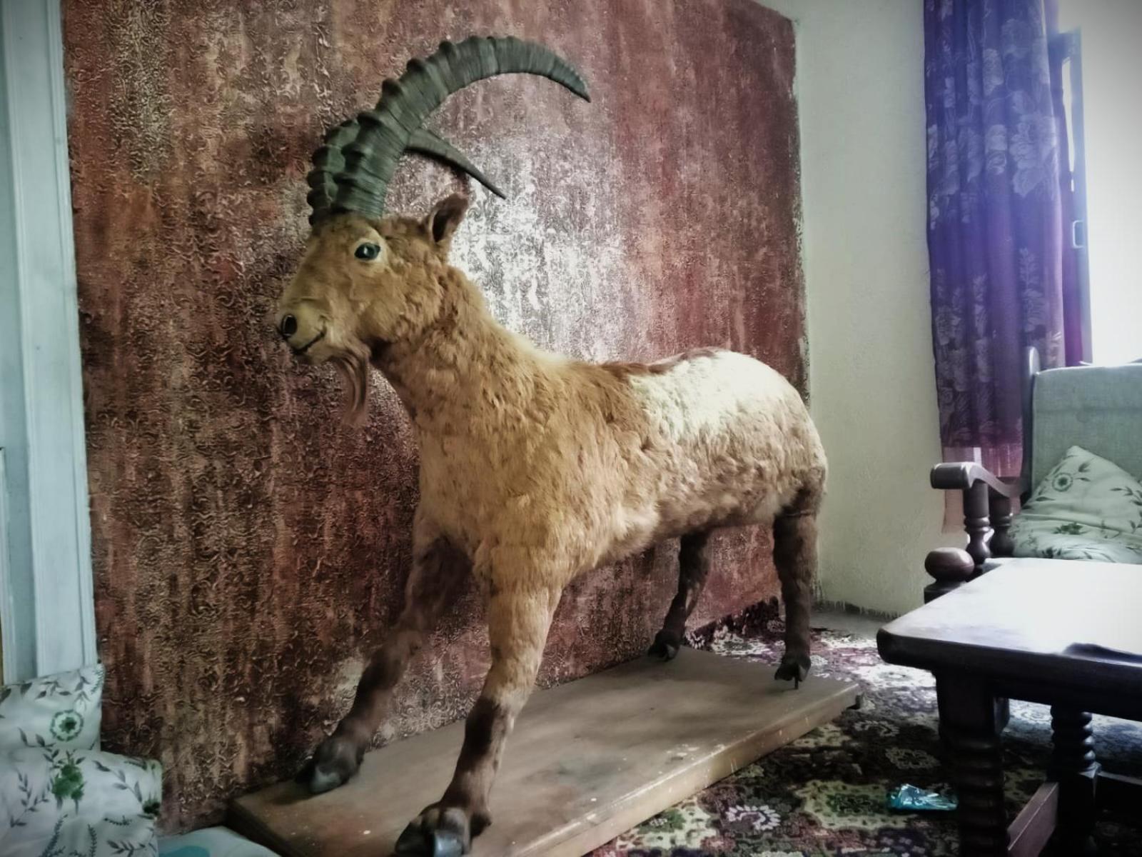 Golden Ibex Resort Skardu Eksteriør billede